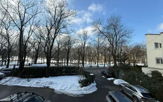 INCHIRIERE VILA | VEDERE PARCUL VERDI | 240MP | CURTE PROPRIE-PARCARE - Poză 37