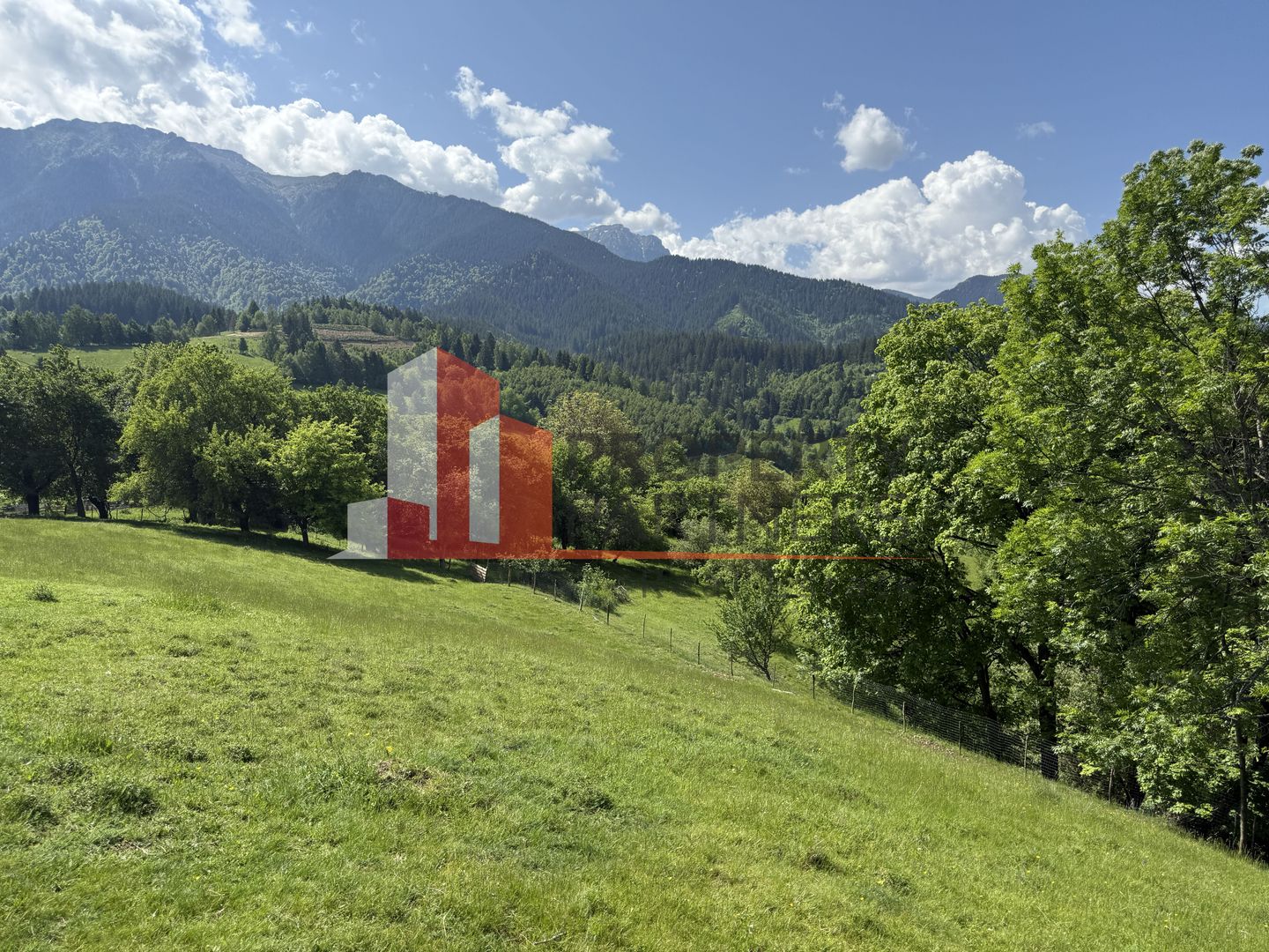 Teren cu priveliște spectaculoasă în Bran – Sohodol - Poză 11