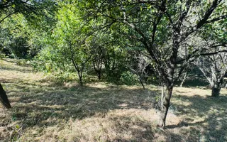 TEREN INTRAVILAN 3234 MP LEREȘTI VOINEȘTI ARGEȘ - Poză 25