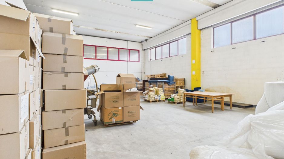 Hală de producție, cu birouri și teren, în Sebiș - Poză 23