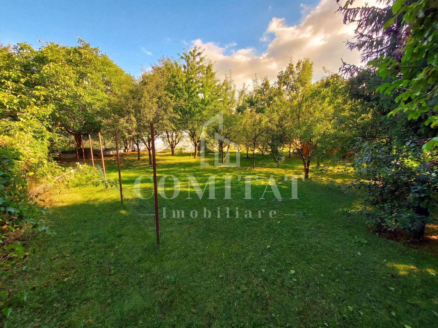 Vilă în Făget | Sediu companie | 2.412 mp teren 8 parcări - Poză 14