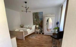 Apartament la casa I 30mpu I Pet frirendly I Ultracentral - Poză 3