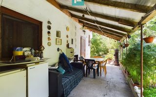 Casă cu livadă de pomi în Dorobanți - Poză 14