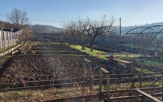 🔥 Teren intravilan 650 mp | Târgu Mureș | 50.000€ | Construibil - Poză 6