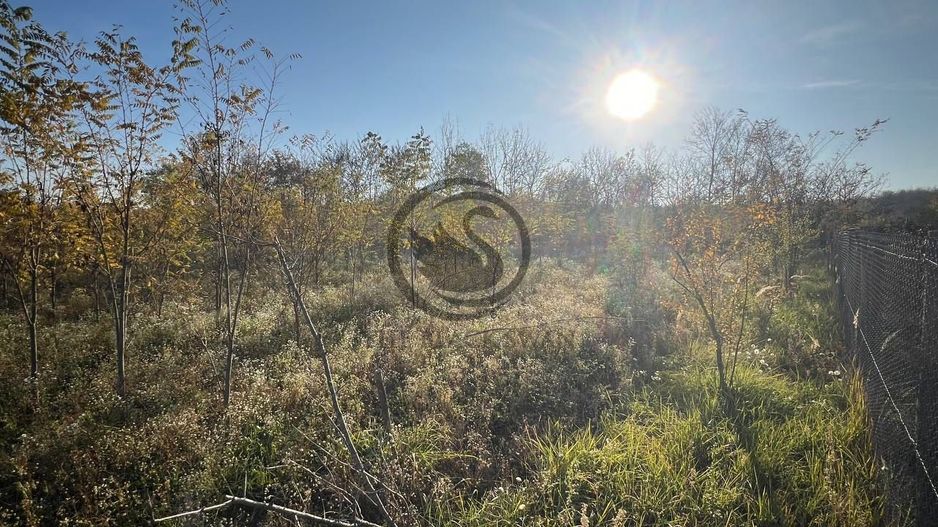 Teren intravilan de vanzare | 12.650 mp | Ghirdoveni | Comision 0% - Poză 11