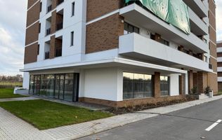 Spațiu comercial versatil 423 mp Gheorghe Ionescu Sisești, Sector 1