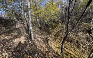 TEREN INTRAVILAN 13167 MP BUGHEA DE SUS ARGES - Poză 28