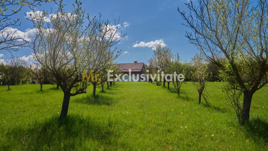 Casa Valea Mare Pravat (Campulung-Arges ) - farmec interbelic - Poză 2