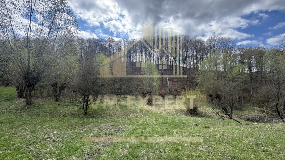 TEREN INTRAVILAN 4365 MP POENARII DE MUȘCEL  JUDEȚUL ARGES - Poză 14