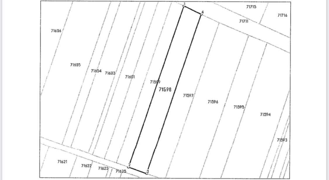 Magurele, loc Alunis, str. Intrarea Parcului 2000 mp deschidere 15 - Poză 6