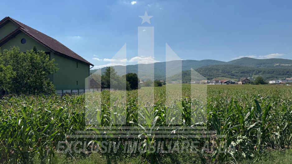 Teren intravilan de vanzare, Alba-Micesti - Poză 2