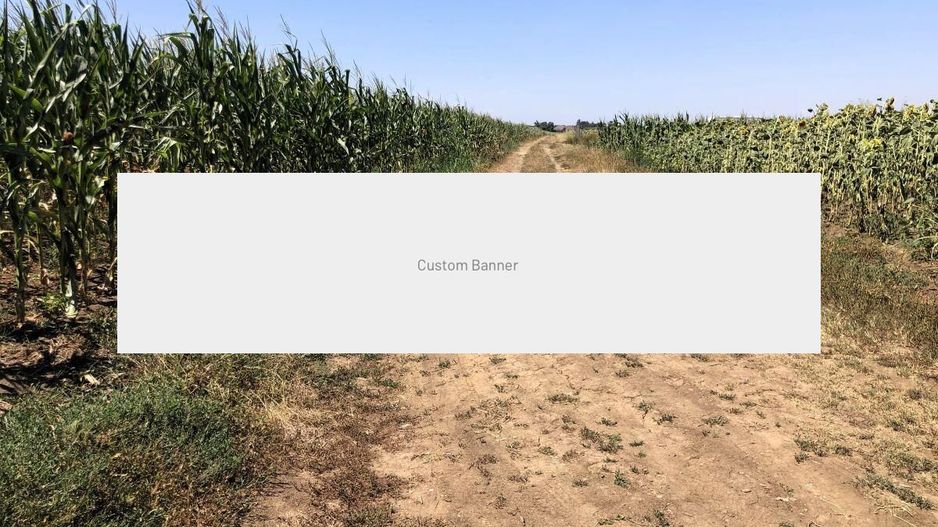 Moara Vlasiei - langa Padurea Biglaru, 11.884 mp, deschidere 40 ml - Poză 8