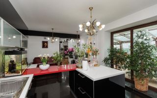 Vânzare, penthouse cu suprafața de 227 mp, str. Romană, Ungheni - Poză 8