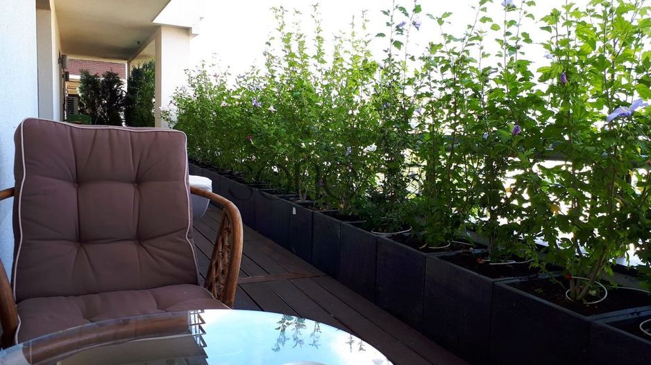 Penthouse 4 camere 128 m² | Terasă proprie ~80 m² | Zona Domenii - Poză 3