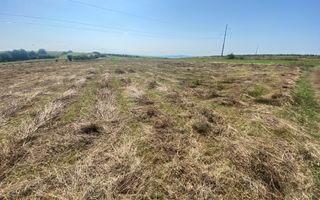 Teren Tarinca | 3400 MP | Front 24 Metri - Poză 1