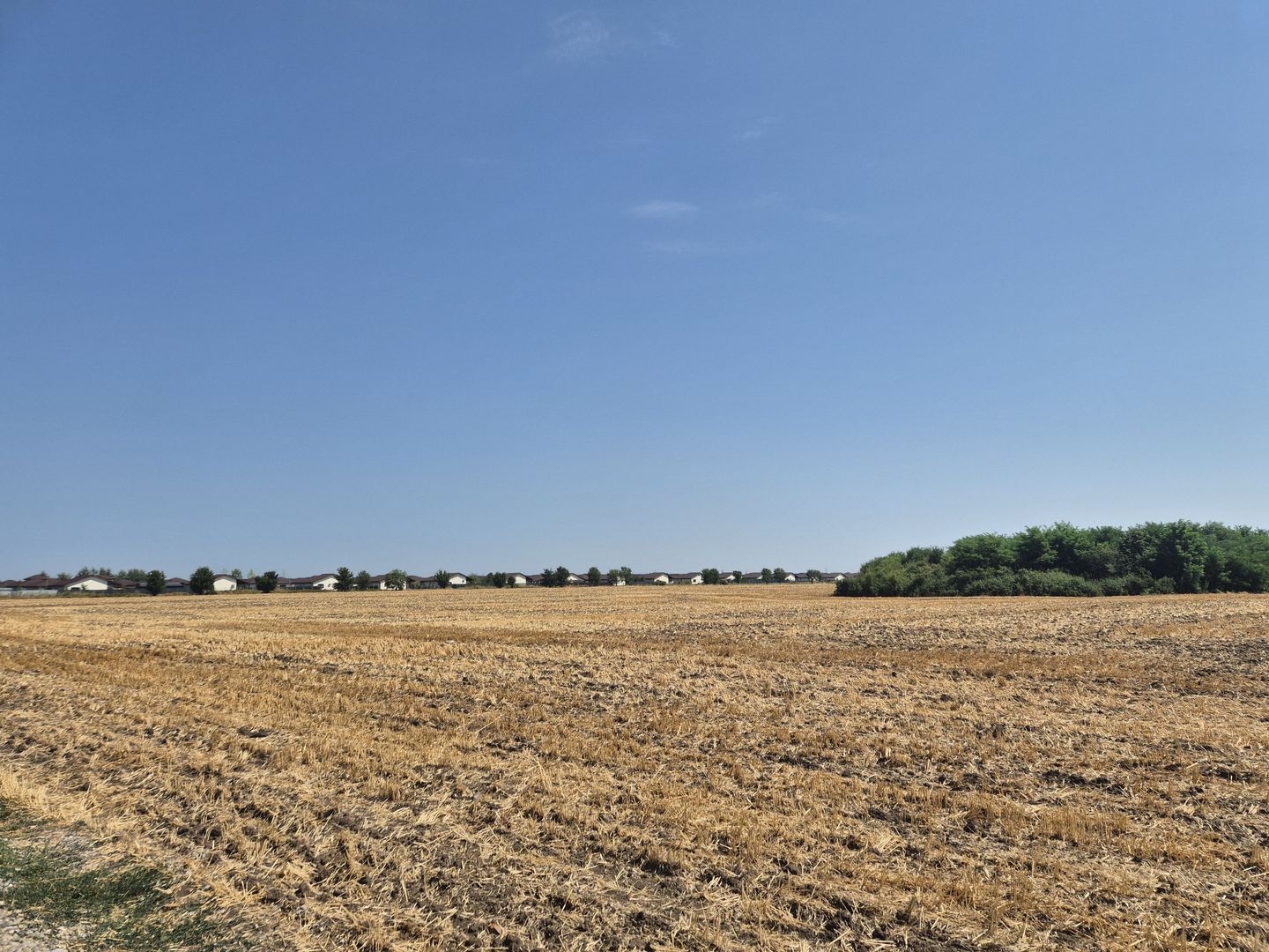 Teren intravilan 4428 mp - Balotesti - Poză 5