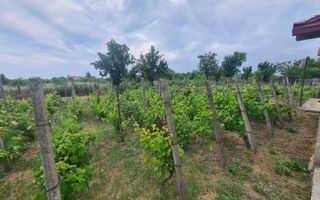 Casa + garaj + 5400 mp teren in Tomesti Goruni, zona de vis, nu rata - Poză 31