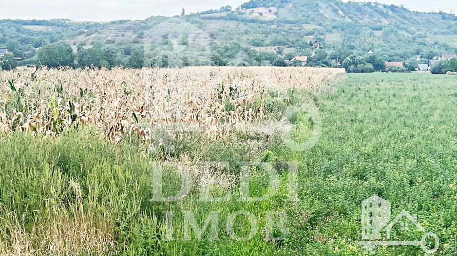 Teren extravilan Lugasu de jos, Bihor - Poză 8