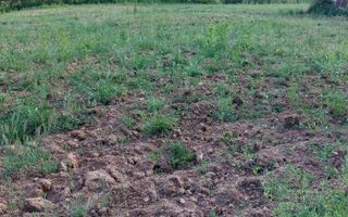 Teren intravilan 3890 mp cu casă 90 mp, Hârlău, Iași - Poză 2