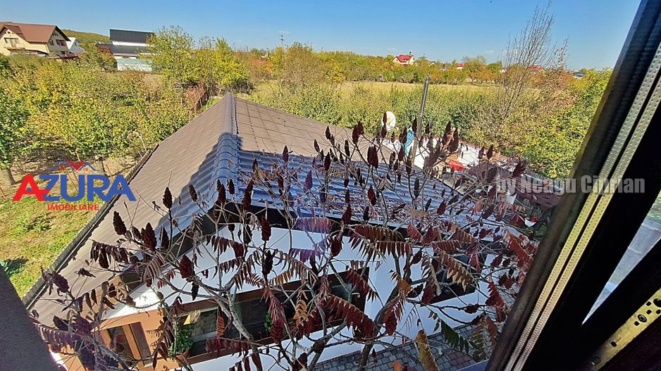 AZURA Imobiliare - 2 Case, 1 Camin - Smeura 250 m din DN zona Hintesti - Poză 29