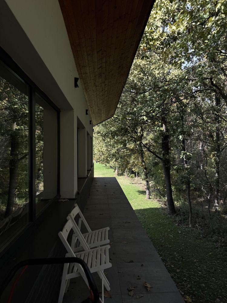 Casa la padure de inchiriat Moara Vlasiei - Poză 4