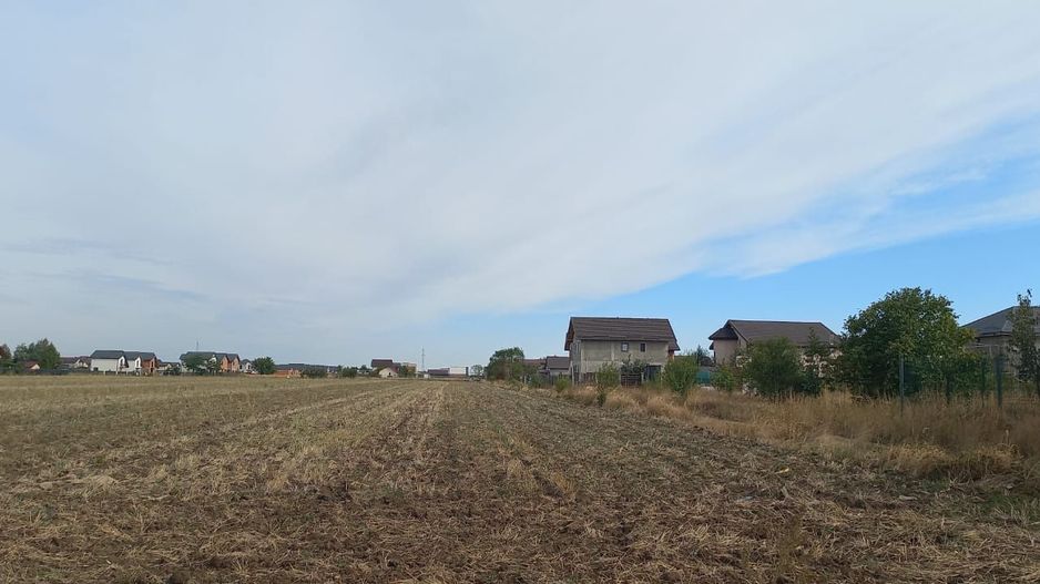 Teren com.Berceni,8600 mp,parcelat ,PUZ aprobat, pentru dezvoltatori - Poză 23