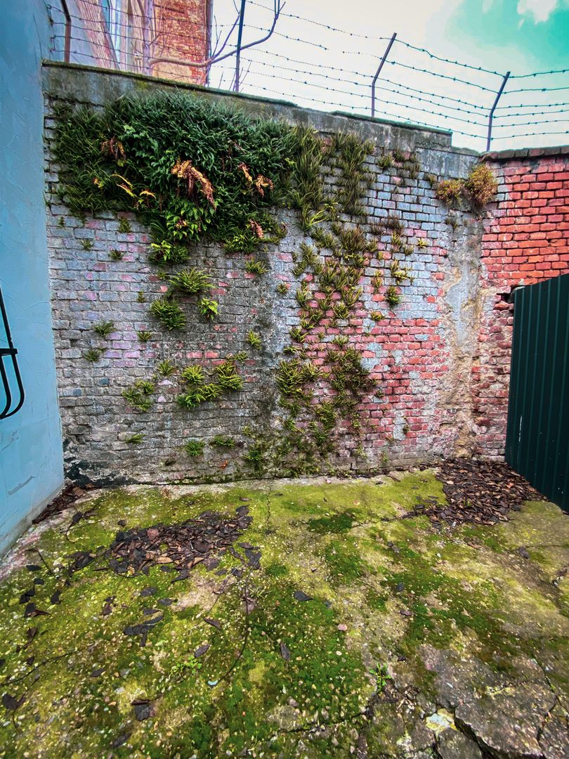 Cladire cu multiple spatii comerciale | P-ta Maria - Sinaia | 1425 MP - Poză 29