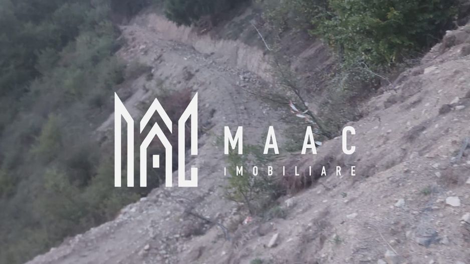 Super ofertă 35000 teren in Muntii Apuseni - Poză 16