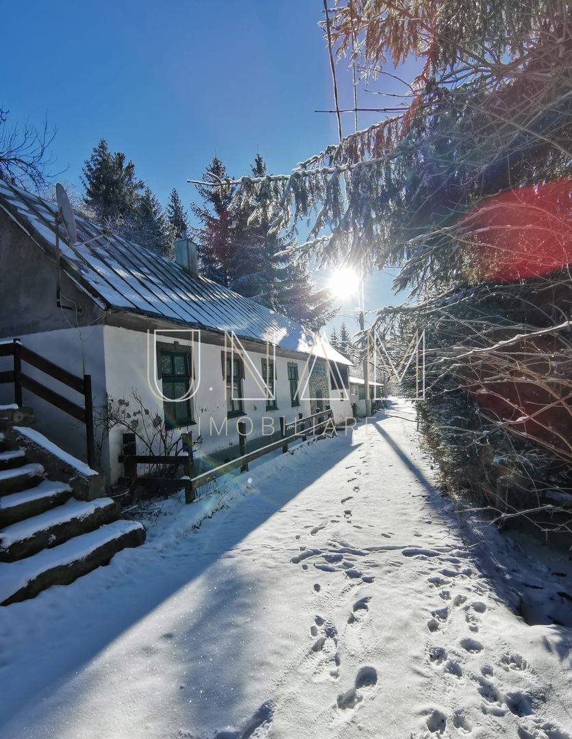 **VANDUT** Casă, Gărâna, munții Semenic, la doi pași de Scenă - Poză 10