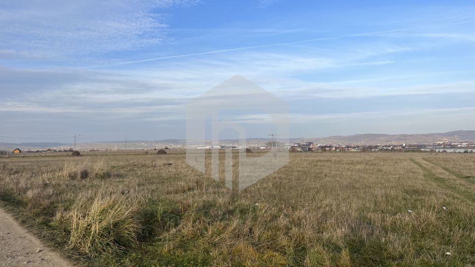 Teren intravilan 8000 mp. Ideal investitie/ Ogorului-Turnisor - Poză 3