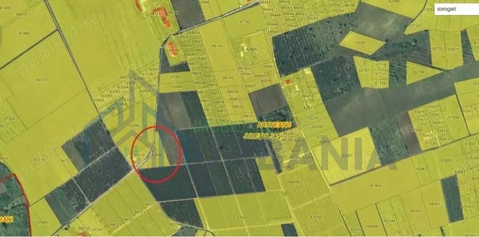 Teren de vanzare - Poză 2