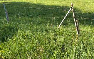 Teren 814 mp cu front de 40! - Poză 4