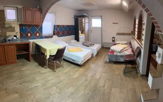 Casa cu 4 apartamente | 9 camere | Curte si Gradina - Poză 8