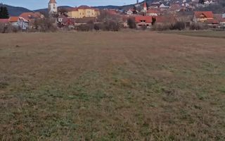 Teren Intravilan | 1.800MP | Gusterita - Poză 5