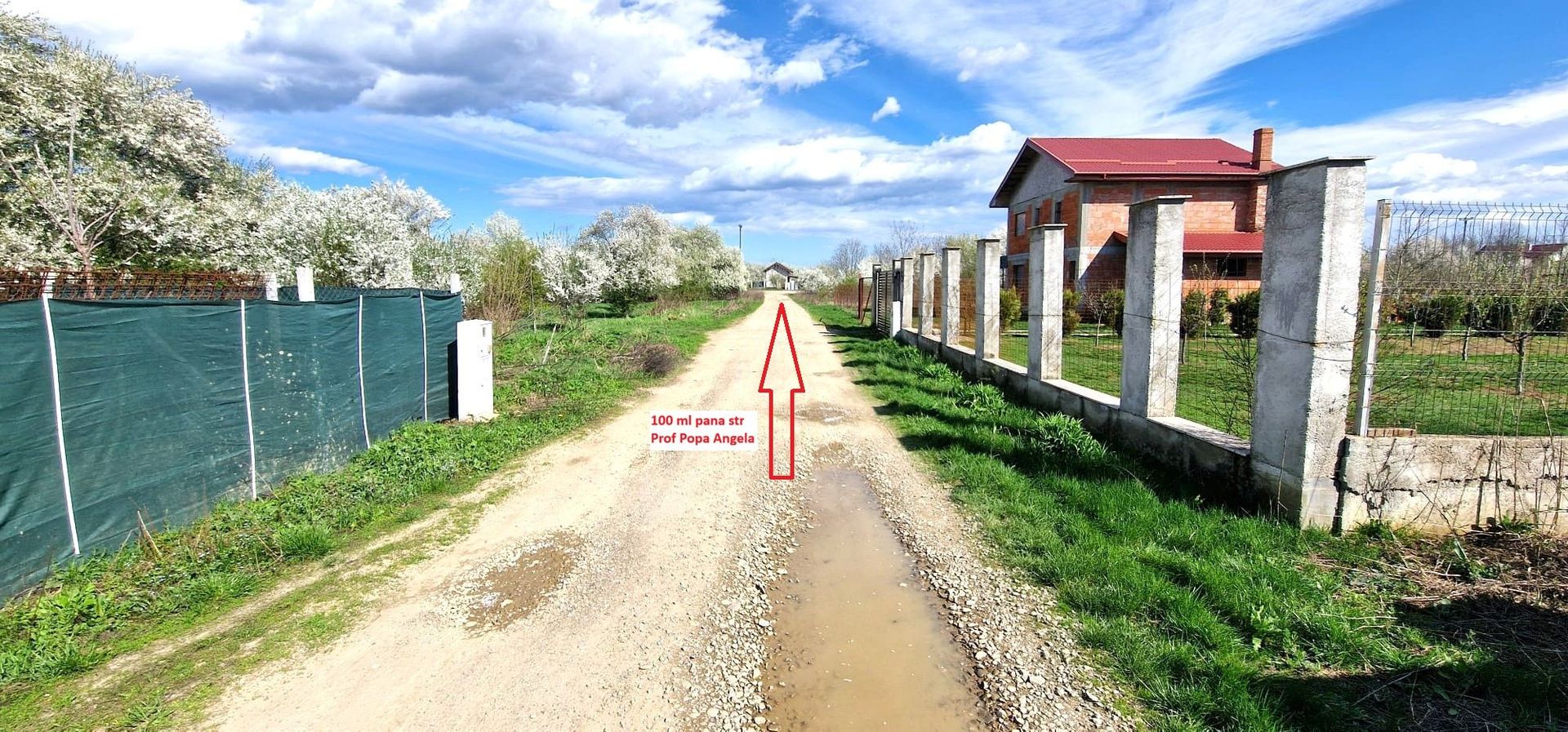 0%comision - Teren Tancabesti ingradit - Poză 2