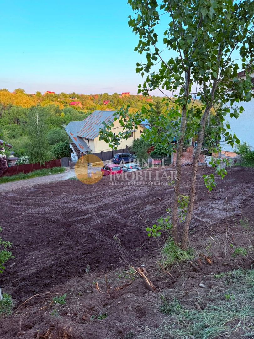 TEREN INTRAVILAN 500 MP REDIU - Pozitie excelentă - 49.000 Euro - Poză 11