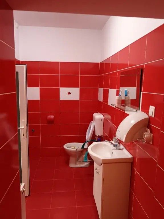 Casă 5 camere, 3 bai,2 bucătării, 200 mp utili, 370 mp teren - Poză 7