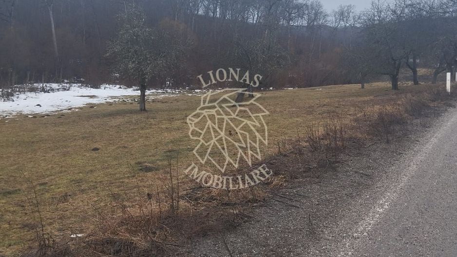 Teren 500 mp cu utilitat- Zona Drumul Tarpiului - Poză 4