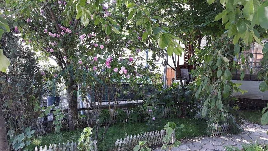 Teren intravilan cu hală și căsuță de vacanță, Vladiceni, Iași - Poză 6