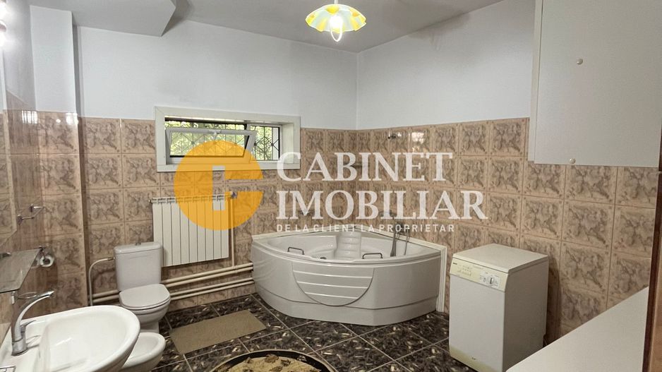 PROPRIETATE EXCLUSIVISTA 390 MP - 2000MP teren Popas Pacurari Garaj Beci - Poză 20