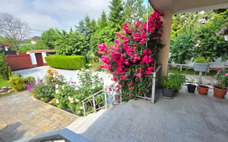 Reședință cu Lift Piscină Teren 1000 mp- Voluntari- Ofertă actualizată - Poză 23