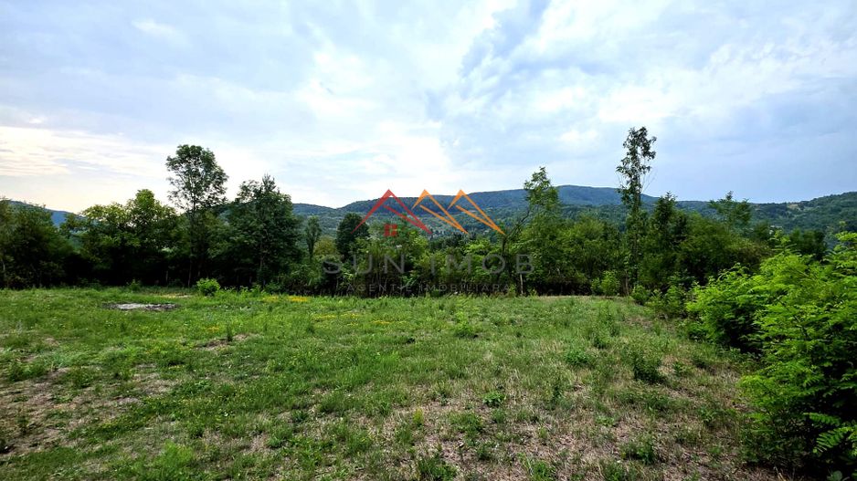 Teren Intravilan, utilitati in zona, 2600 mp, Draganeasa, Prahova - Poză 3