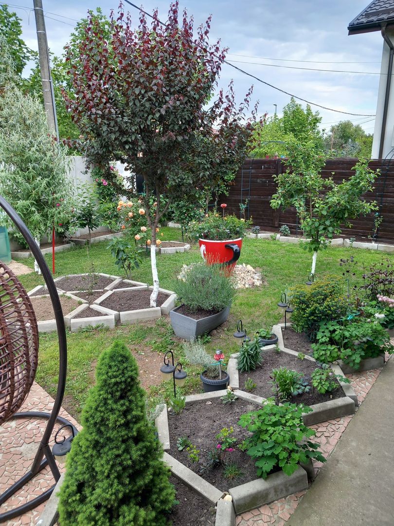 Parter cu structură pentru etaj, curte amenajată și organizare impeca - Poză 14