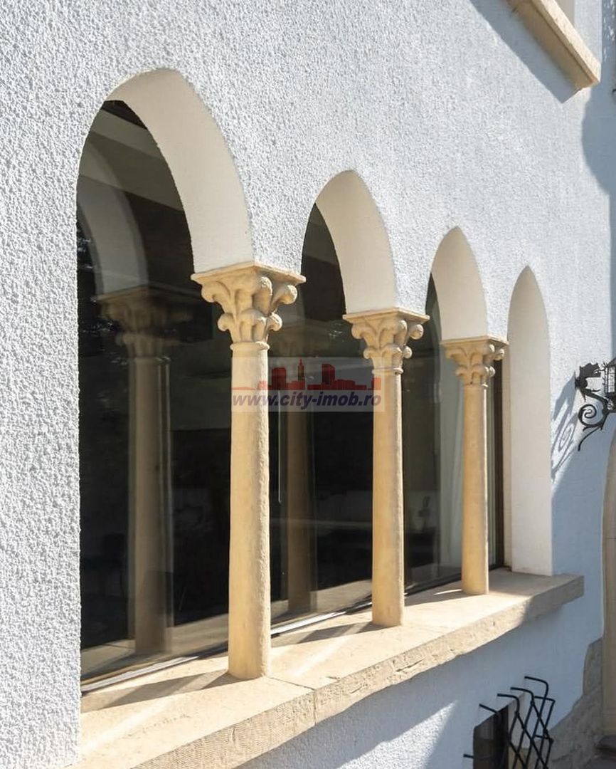 Vila Spectaculoase de inhiriat Bucuresti Central - Poză 30