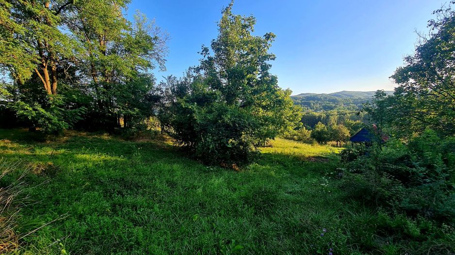 Teren Intravilan 3250 mp / Casa batraneasca / Pausesti Maglasi - Poză 3