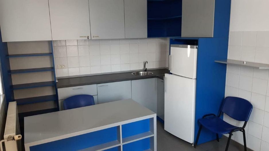 Vilă de vânzare în Sectorul 2, locuit plus potenţial pentru venit pasiv - Poză 15