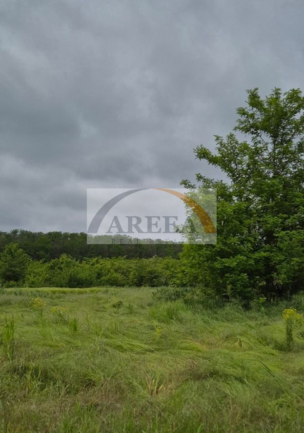 De vanzare - TEREN construcții 700 mp - lizieră - Siliștea Snagovului - Poză 2