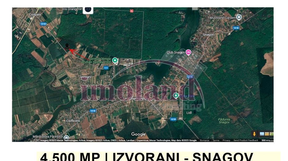Teren intravilan - 4500 mp - Izvorani - Padurea Snagov - Poză 3