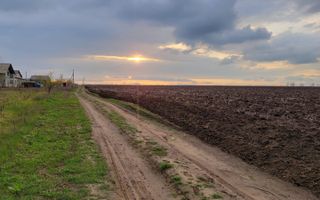 Teren Agricol de Vânzare - 162 Ari în or. Singera, Extravilan 🌿 - Poză 6