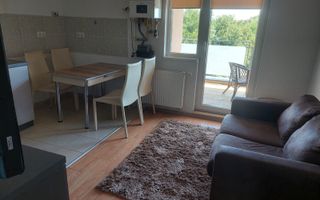 Apartament 2 camere,loc de parcare  Copou Bellevue 450 €/luna - Poză 1